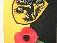 Poppies op de 11 november herdenking