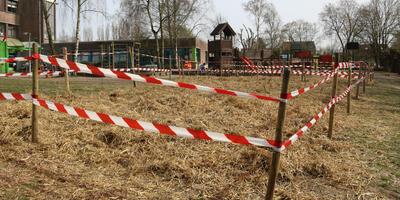 Boomplanting De Schans